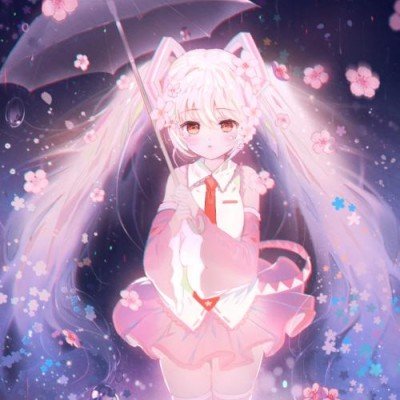 给六只猫猫同时洗澡
